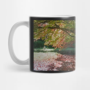 Autumn Colour, Bournemouth Gardens Mug